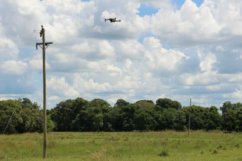 Imagem de compartilhamento para o artigo Para prevenir incêndios no Pantanal, Agems intensifica inspeções das redes rurais de energia em MS da MS Todo dia